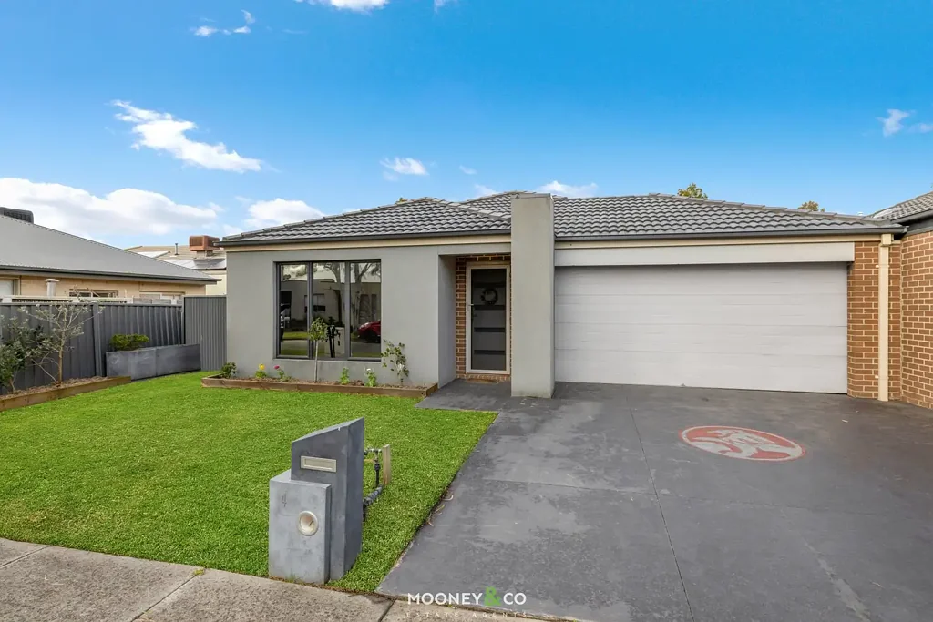 Cranbourne East 3房 现代厨房奢配 3卧2厅佳居 低维护生活 365m2阔地 靠近Casey便利 DREAM KITCHEN - 2 LIVING AREAS
