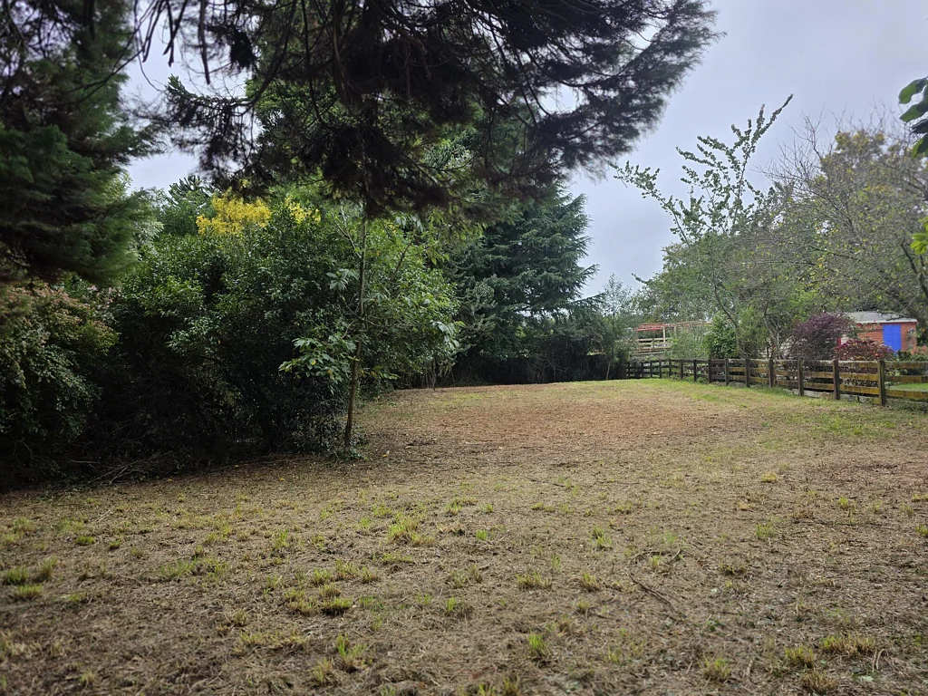 Tokoroa Secret Section