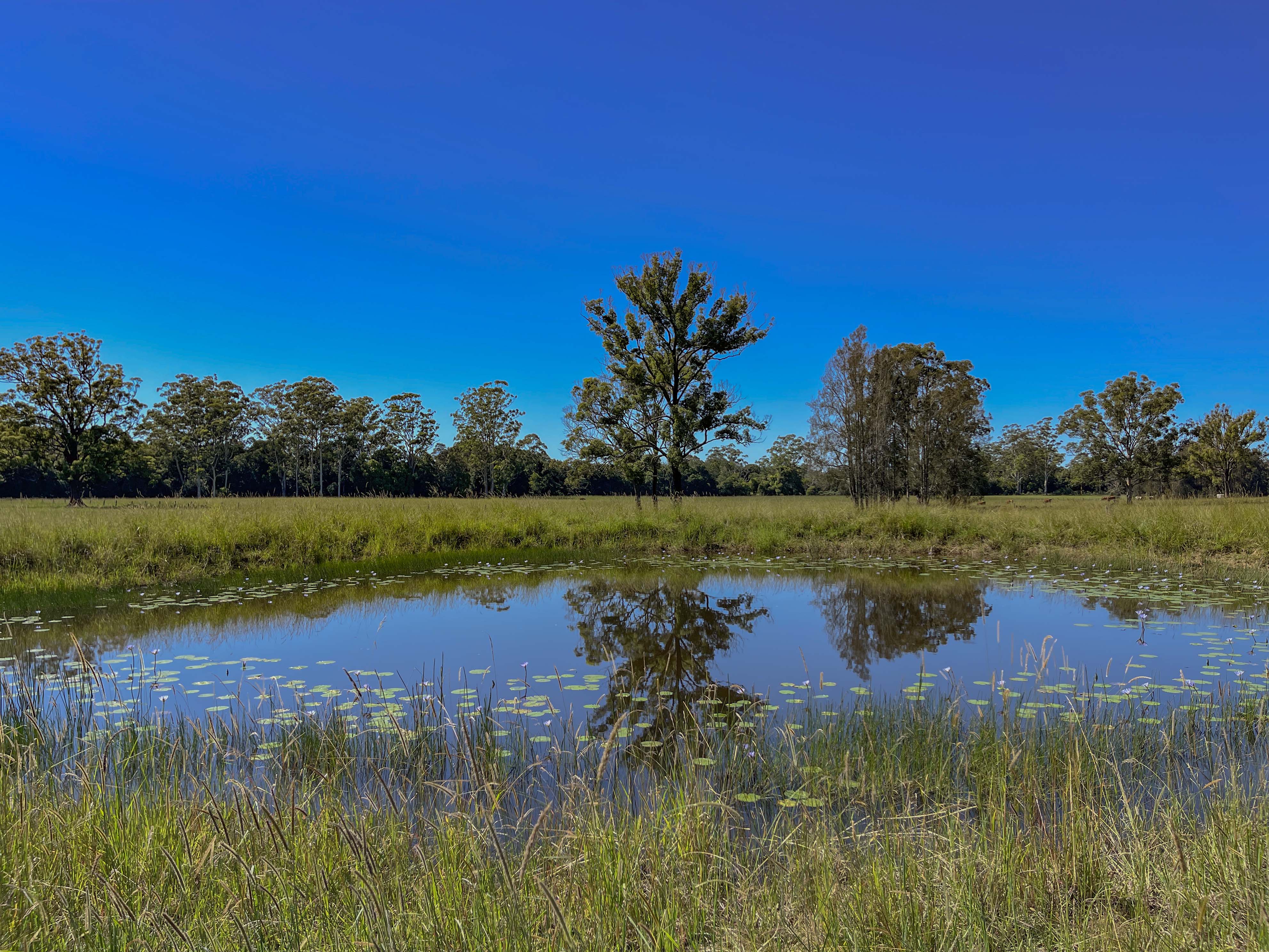 57 CAREFREE RD, NABIAC NSW 2312, 0 침실, 0 욕실, Lifestyle Property