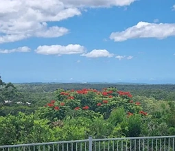 地址保密, Black Mountain