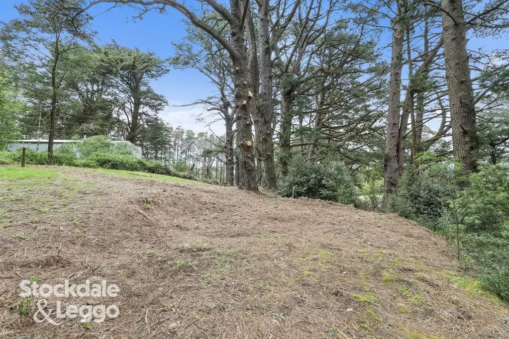 Trida PEACEFUL BUSH RETREAT IN A CONVENIENT LOCATION