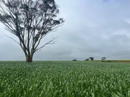 . 'The Dam Block', Cunderdin