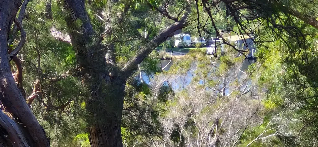 Walpole Beautifully Treed Block with water glimpses!