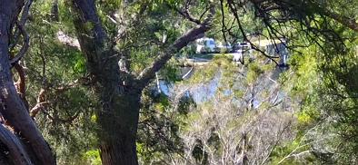 Walpole Beautifully Treed Block with water glimpses!