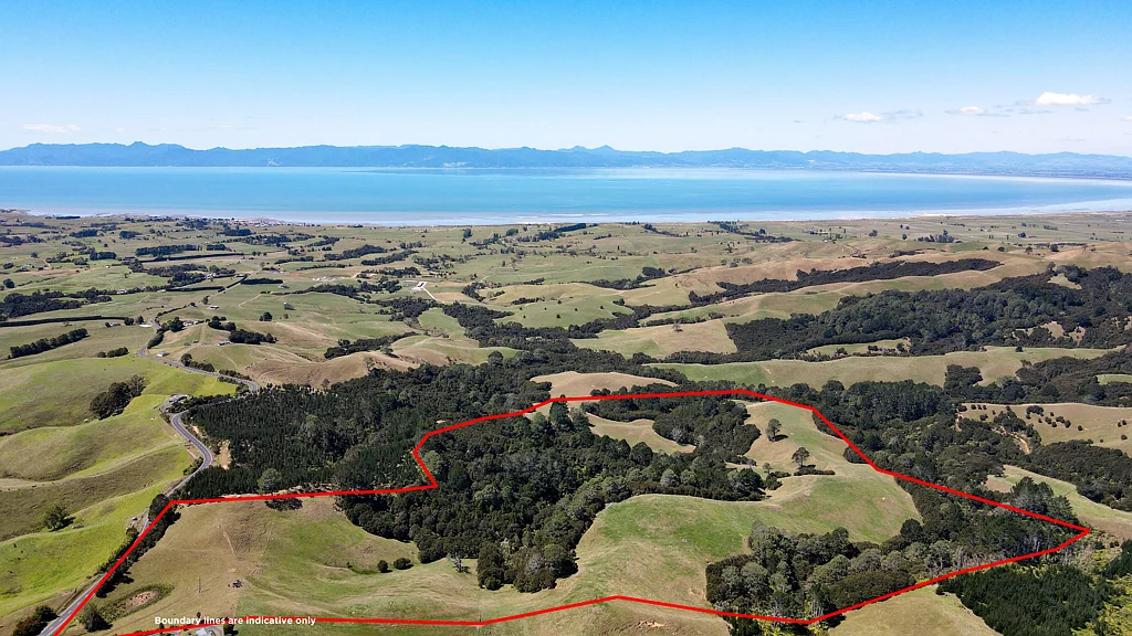 Kaiaua Land, income & potential with iconic views