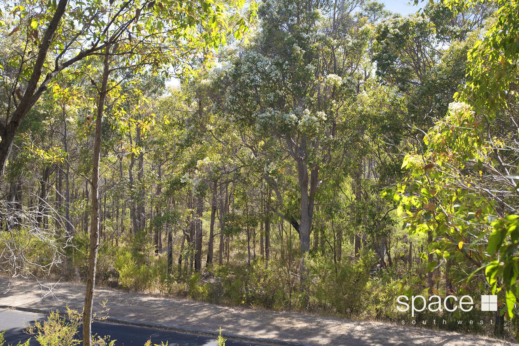 22 RIVERSLEA DR, MARGARET RIVER WA 6285, 0 rūma, 0 rūma horoi, Section