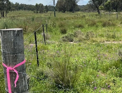Proposed Lot 3 Cactus Ridge Road, Cunningham, Darling Downs, 0房, 0浴, Lifestyle Section
