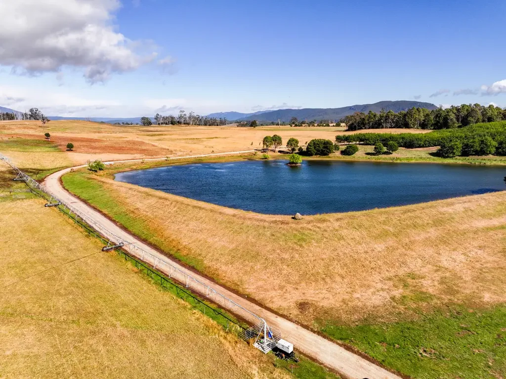 Needles  Needlesdale  – A 200-Acre Agricultural Gem with Water Security & Exceptional Potential