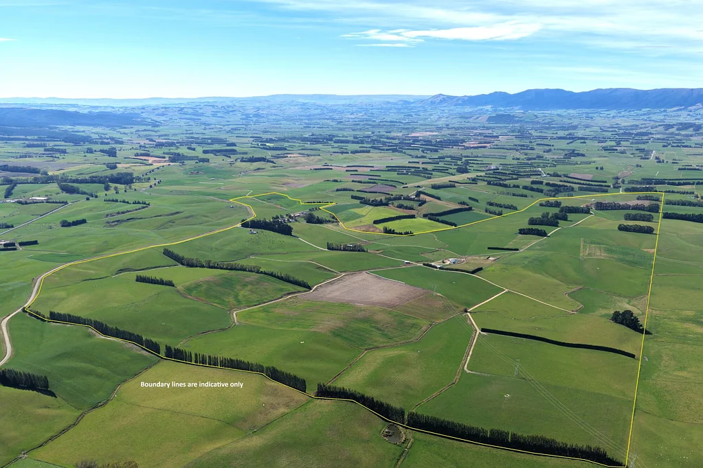 West Otago Surrounds  Well Equipped West Otago Dairy Farm