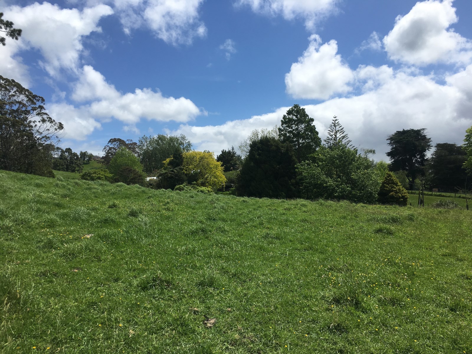 Mahoenui Valley Road, Coatesville, Auckland - Rodney, 0 Bedrooms, 0 Bathrooms