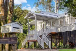 239 ROWLANDS CREEK RD, Uki