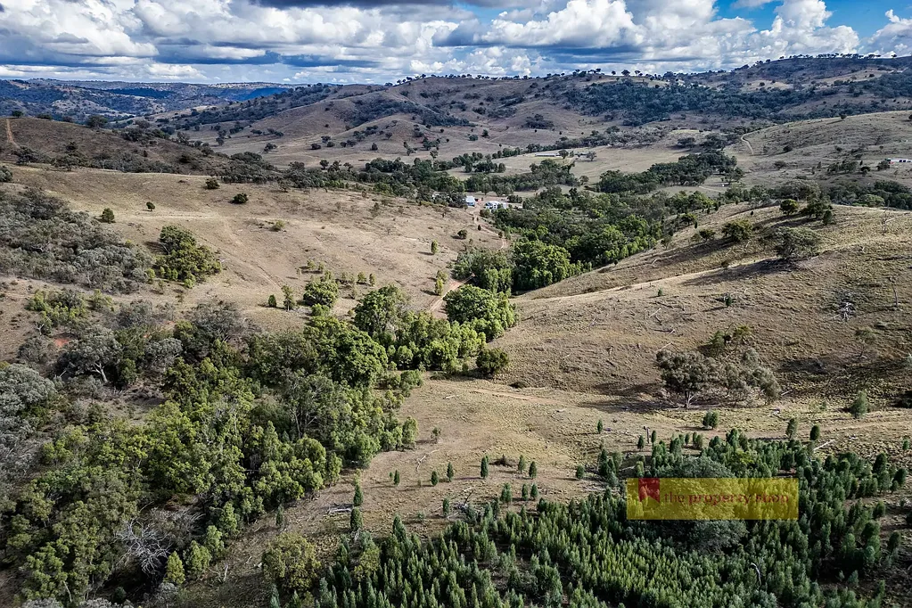 782 Yarrabin Road, Mudgee, NSW 2850