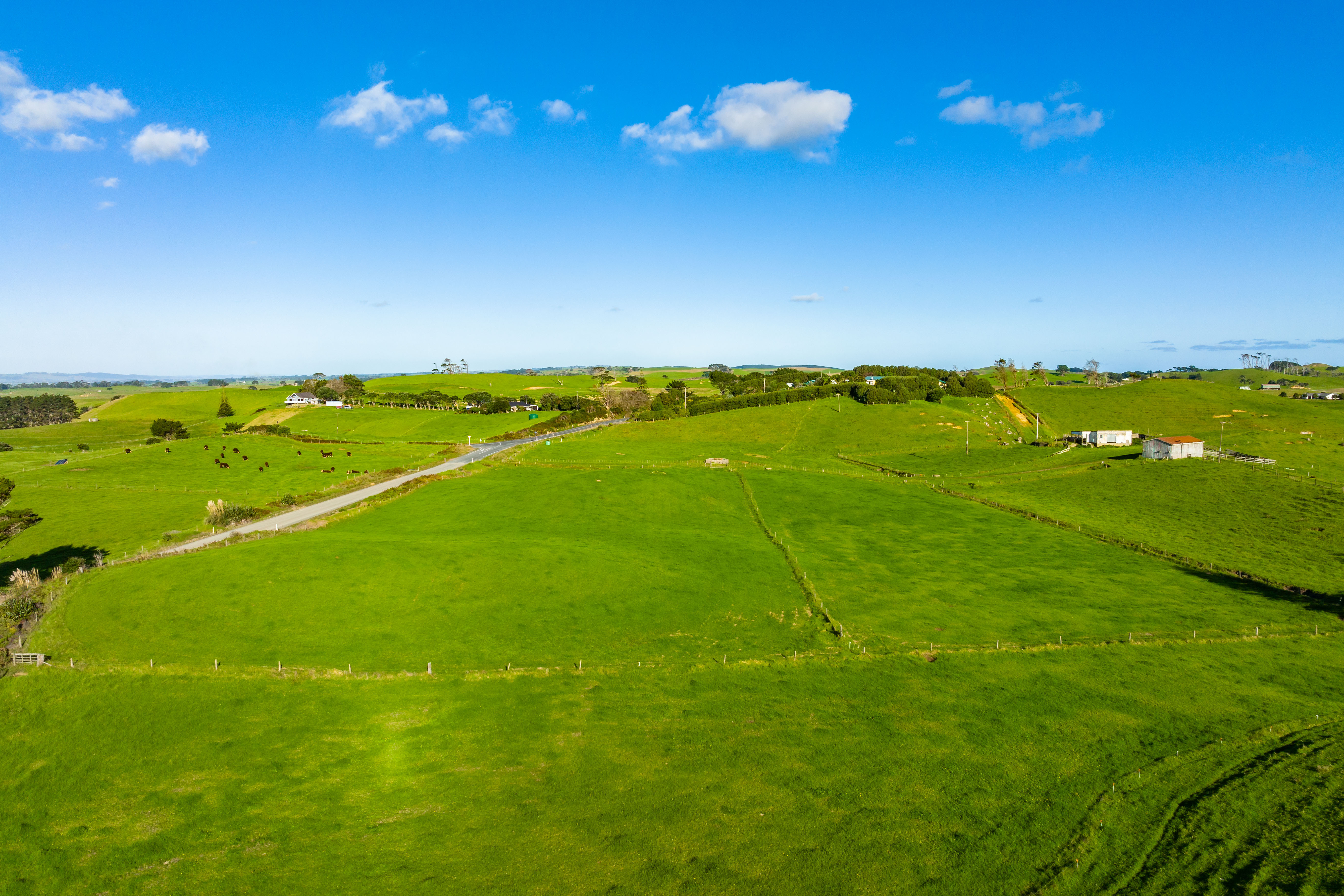 1116 Redhill Road, Te Kopuru, Kaipara, 0 habitaciones, 1 baños, Grazing