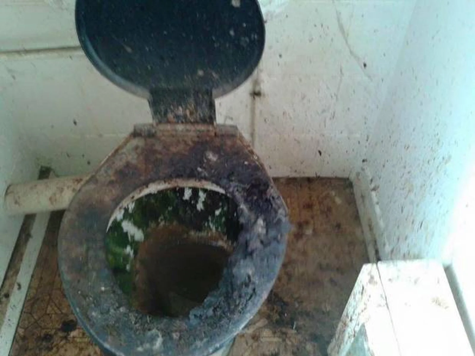 新西兰最恶心房源震撼出炉！每一套都完胜鬼屋、毒屋和漏水房！