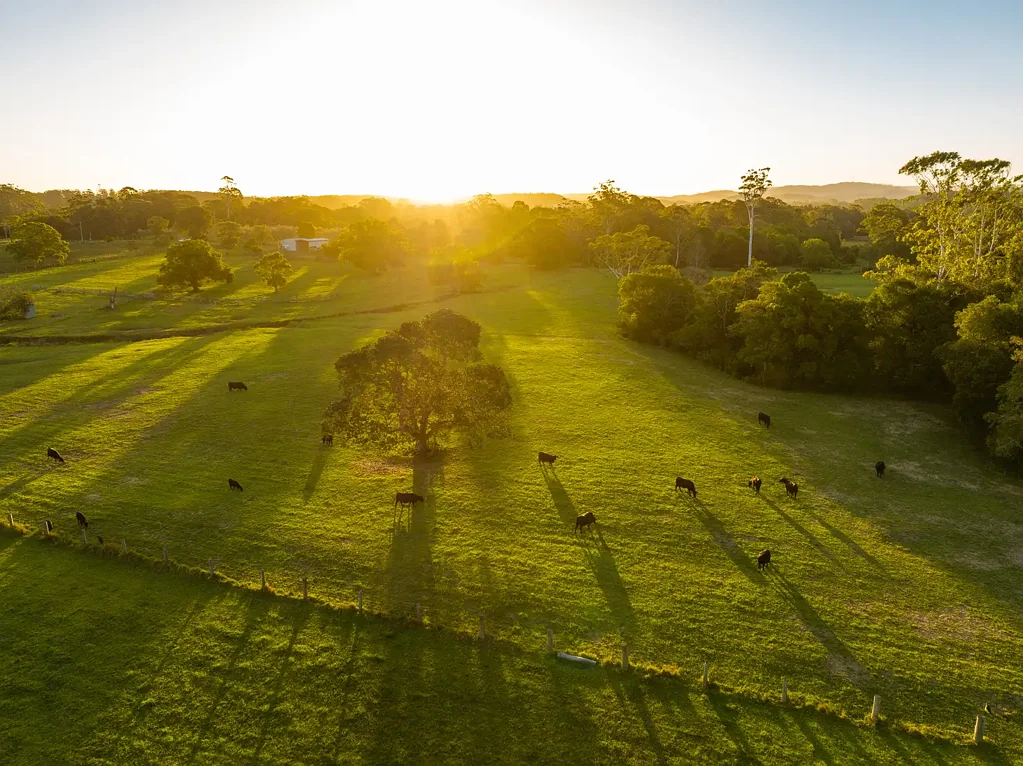 115 Henrys Lane, Moorland, NSW 2443