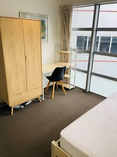 Auckland Cbd-房-整租