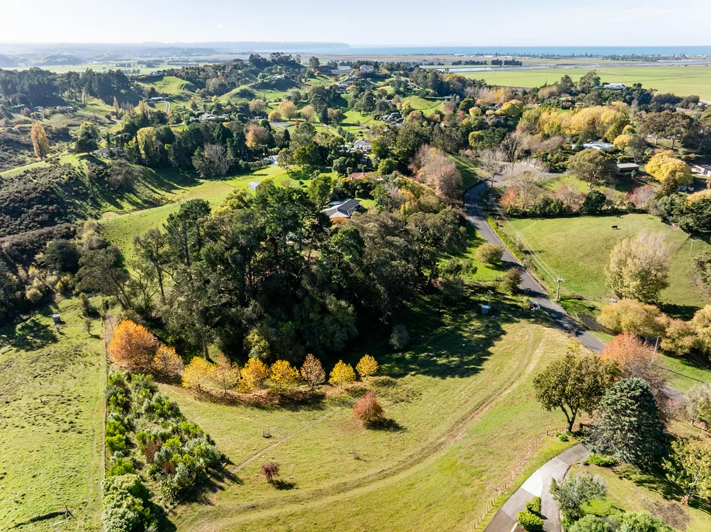 Poraiti Sun-drenched Lifestyle, Minutes from Town
