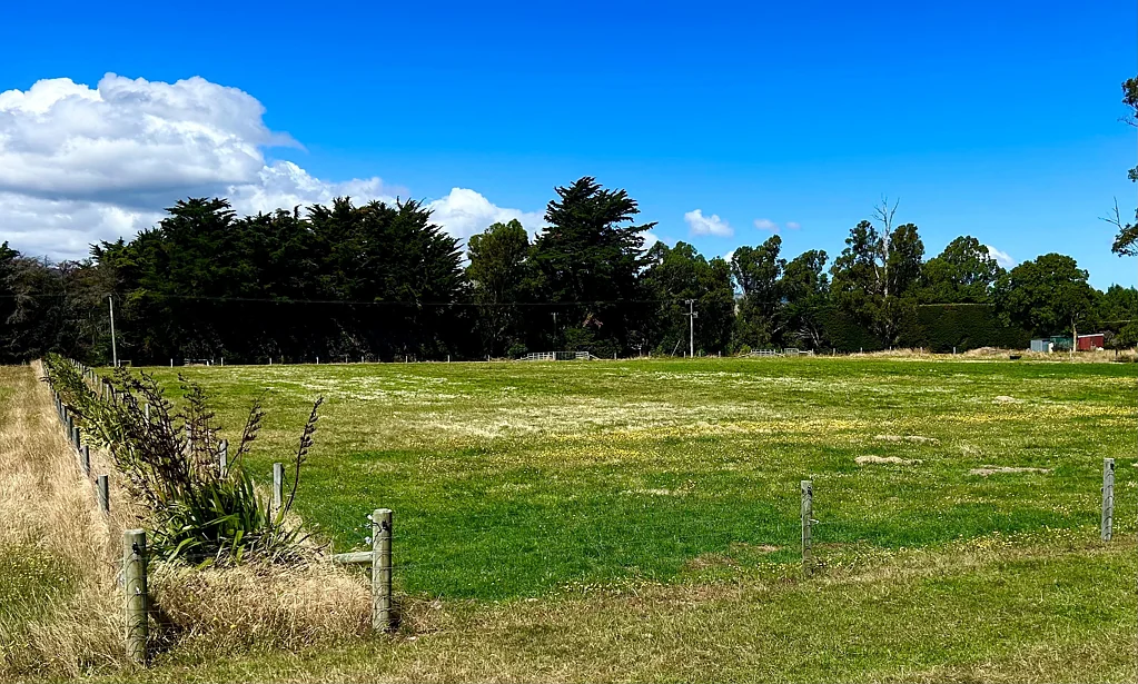 Motukarara  Buy, build, and enjoy the lifestyle - 1 hectare