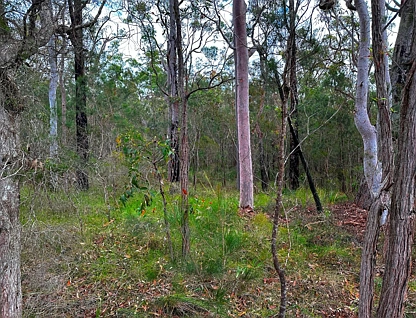 Lot 60 Carrington Road, North Arm Cove, Hunter, 0 habitaciones, 0 baños, Section
