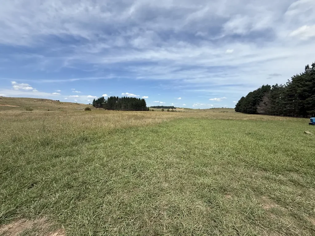 3120 Oallen Ford Road, Windellama, NSW 2580
