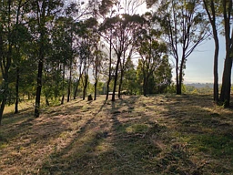 170-172 Campbell Drive, Kooralbyn