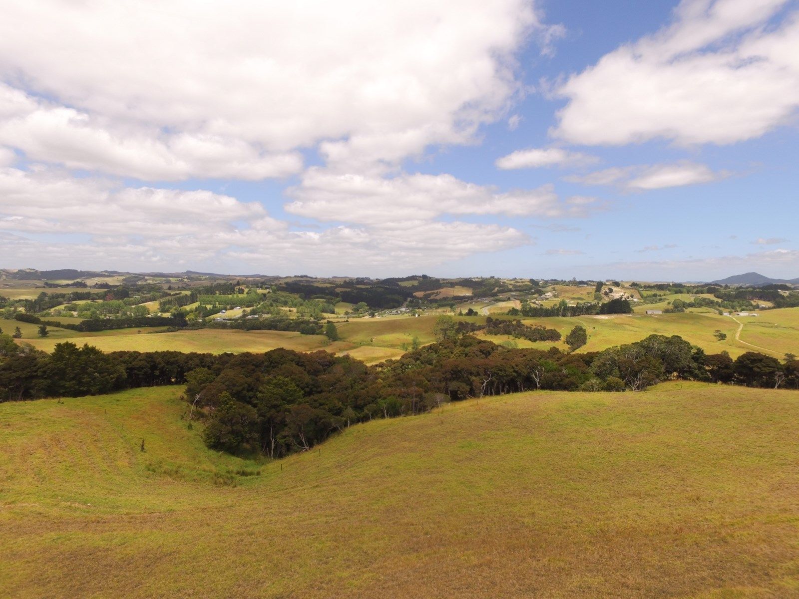 7 Cove Road, Waipu, Whangarei, 0 phòng ngủ, 0 phòng tắm, Retail Property