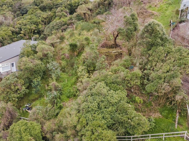 156 Raroa Road, Aro Valley, Wellington, 0 rūma, 0 rūma horoi