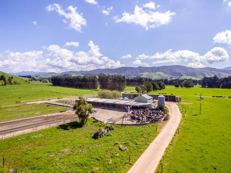 1125 Kakariki Road, Eketahuna, Tararua, 0 Schlafzimmer, 0 Badezimmer