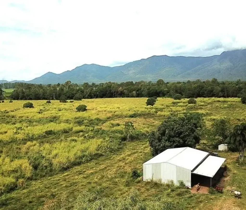 Kennedy  Location and potential. 53.94 acres of prime farm land with a shed.