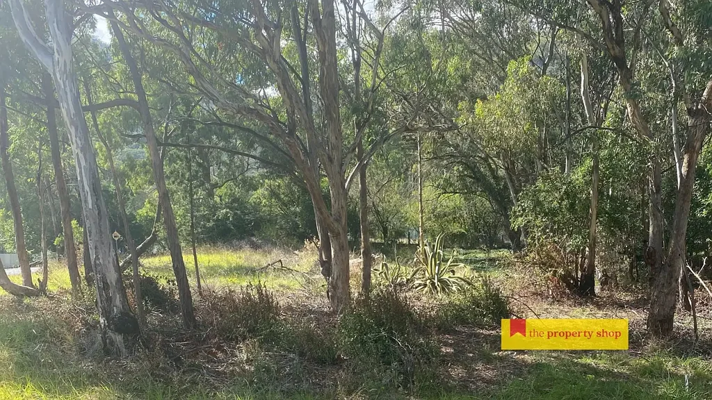 24 Charbon Road, Charbon, NSW 2848