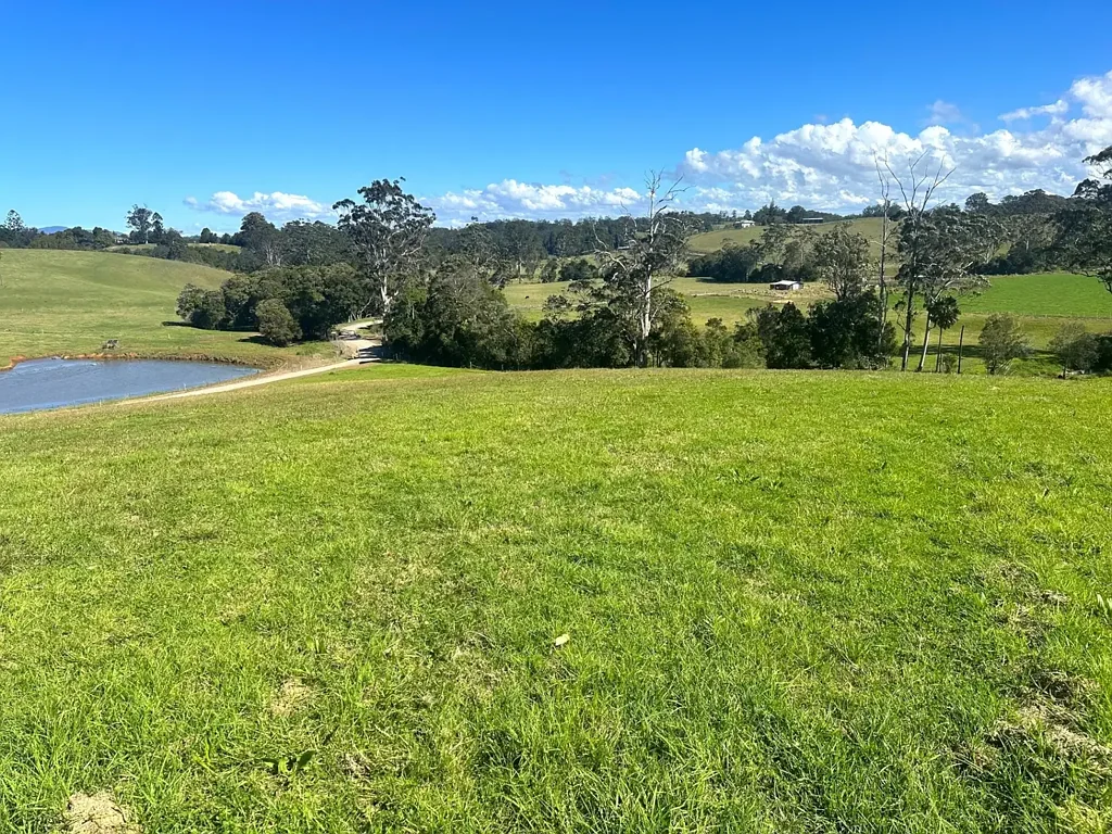 Newee Creek 5.3 STUNNING COASTAL ACRES