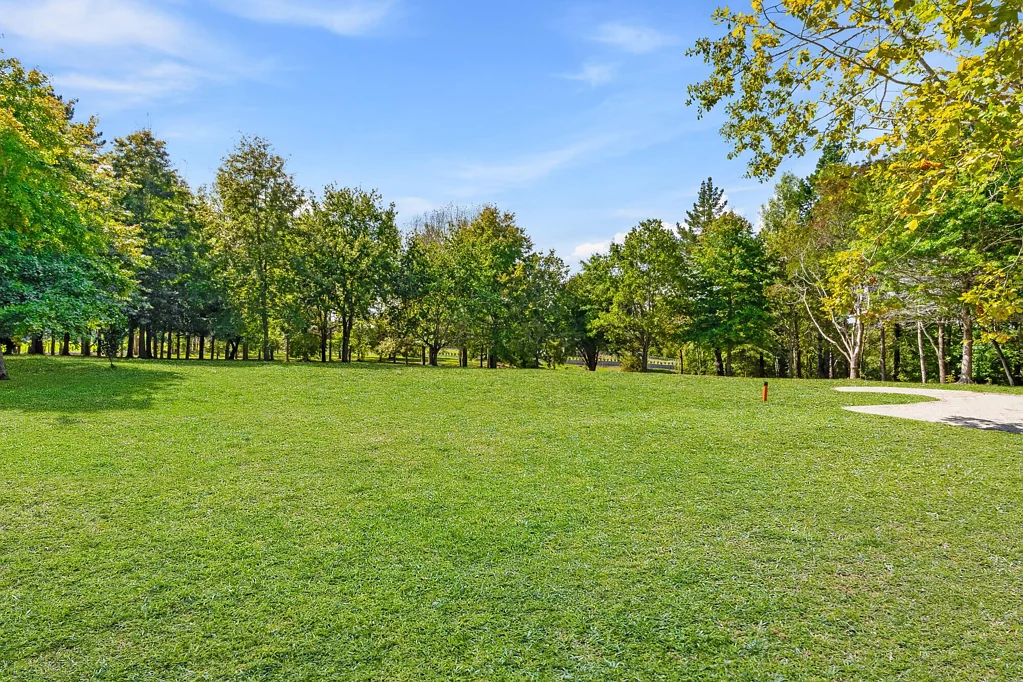 Dairy Flat Where dreams unfold in natural beauty