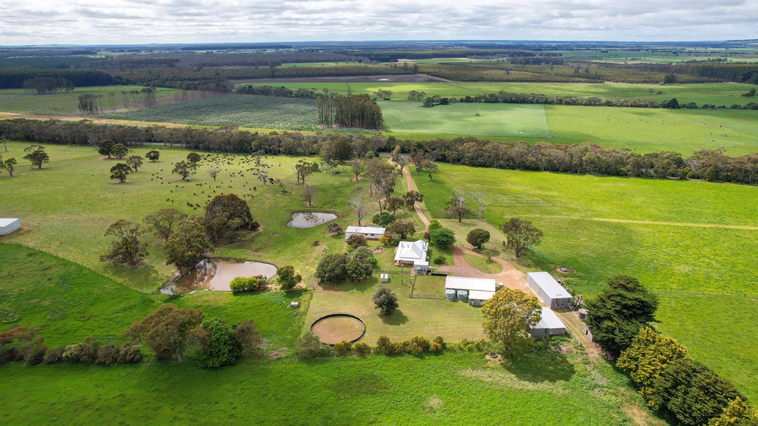 3247 HENTY HWY, HEYWOOD VIC 3304, 0 રૂમ, 0 બાથરૂમ, Lifestyle Property