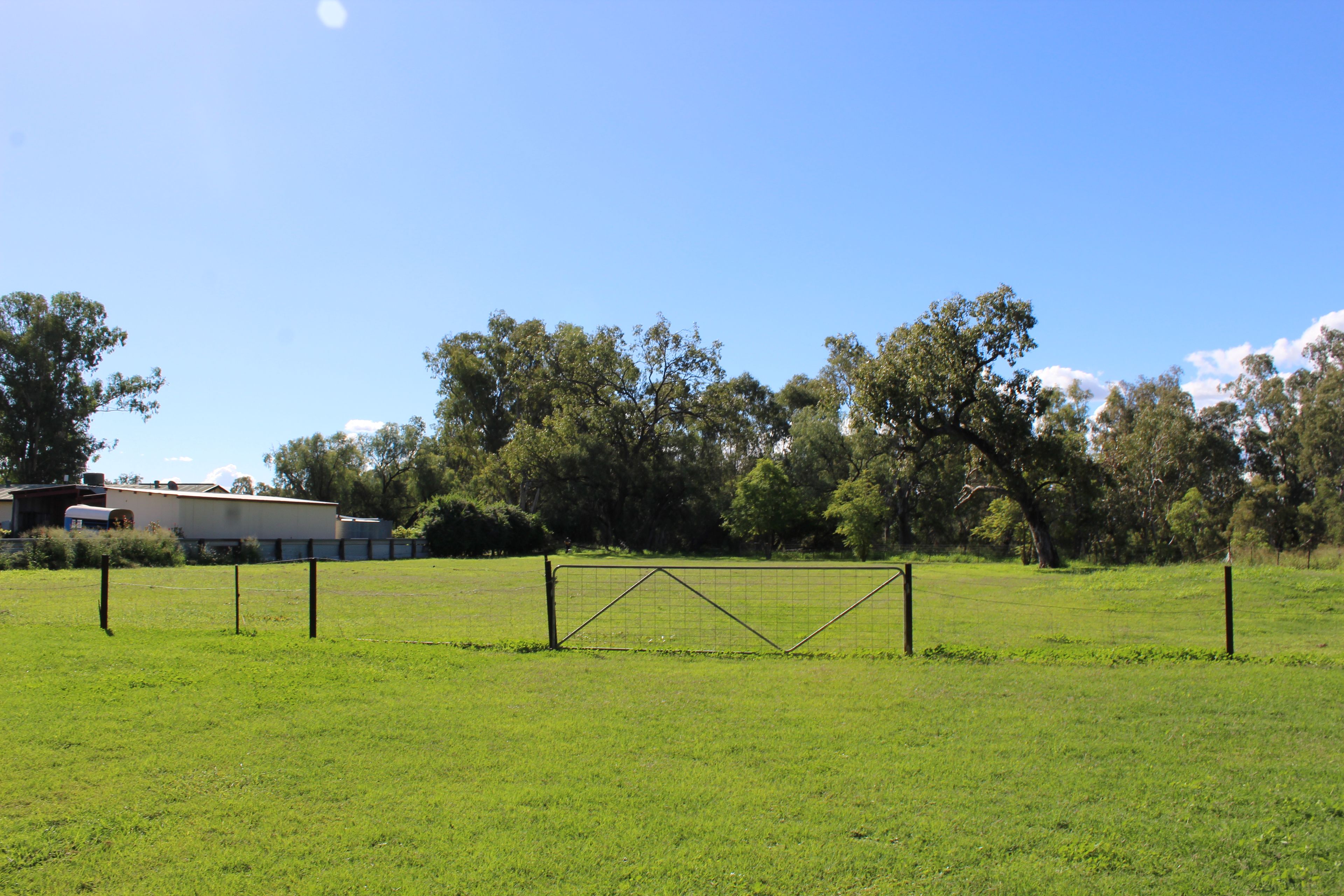 MYHOME 33666 NEWELL HWY, BOGGABILLA NSW 2409, 0 Bedrooms, 0 Bathrooms, House