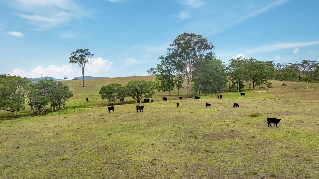Dungog  Your Masterpiece Awaits