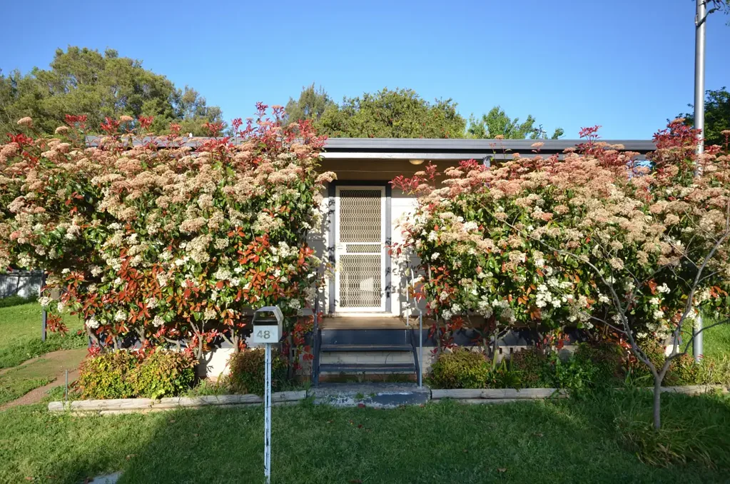 48 Victoria Street, Murrurundi, NSW 2338