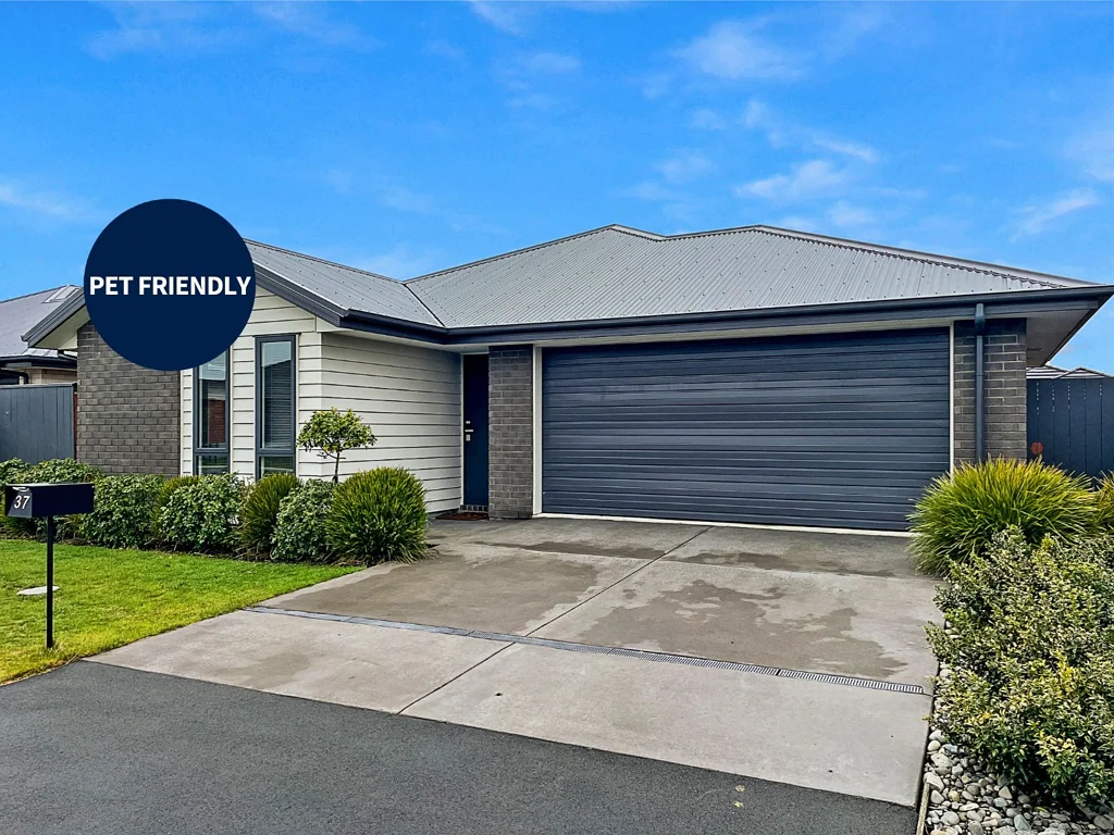 Stunning 4 Bedroom Home with Two Living Areas