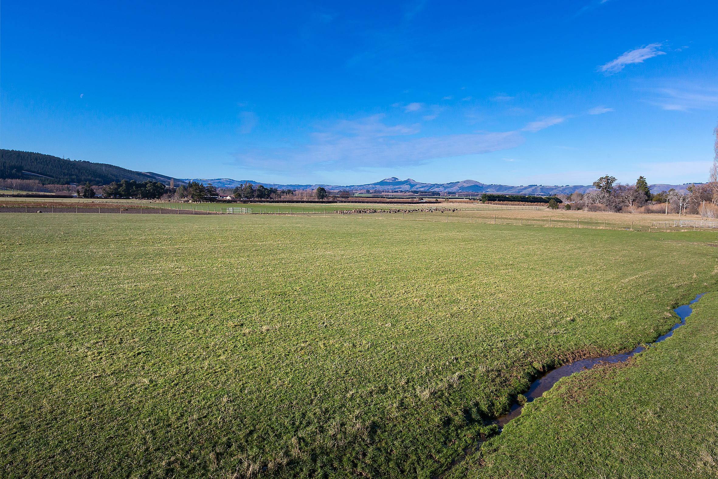 125 Woodside Road, Outram, Dunedin, 0 Kuwarto, 0 Banyo, Grazing