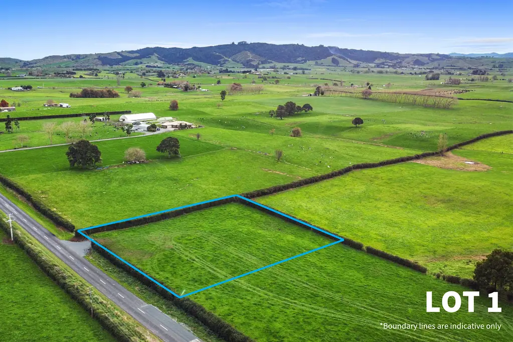 Morrinsville Amazing Lifestyle