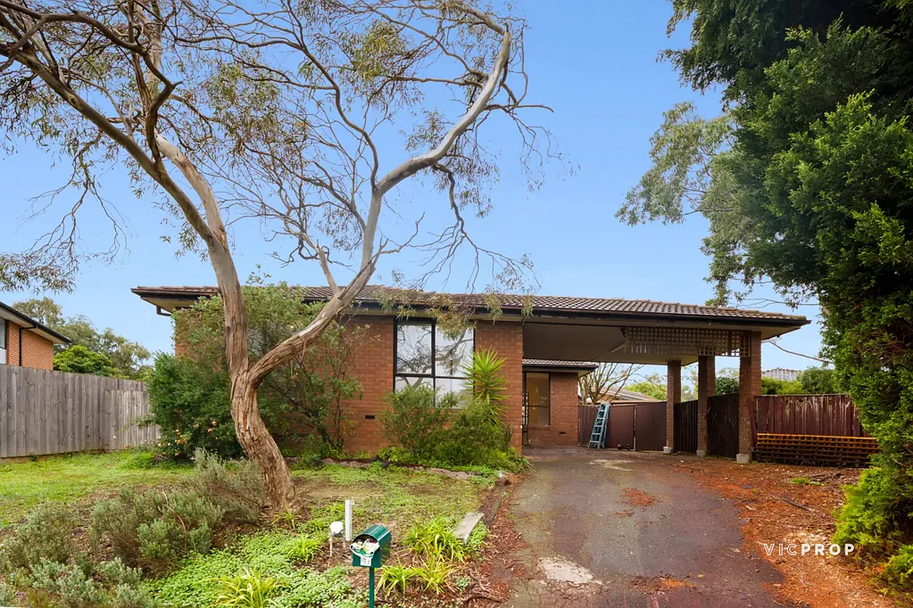 Recently Renovated & Filled with Natural Light