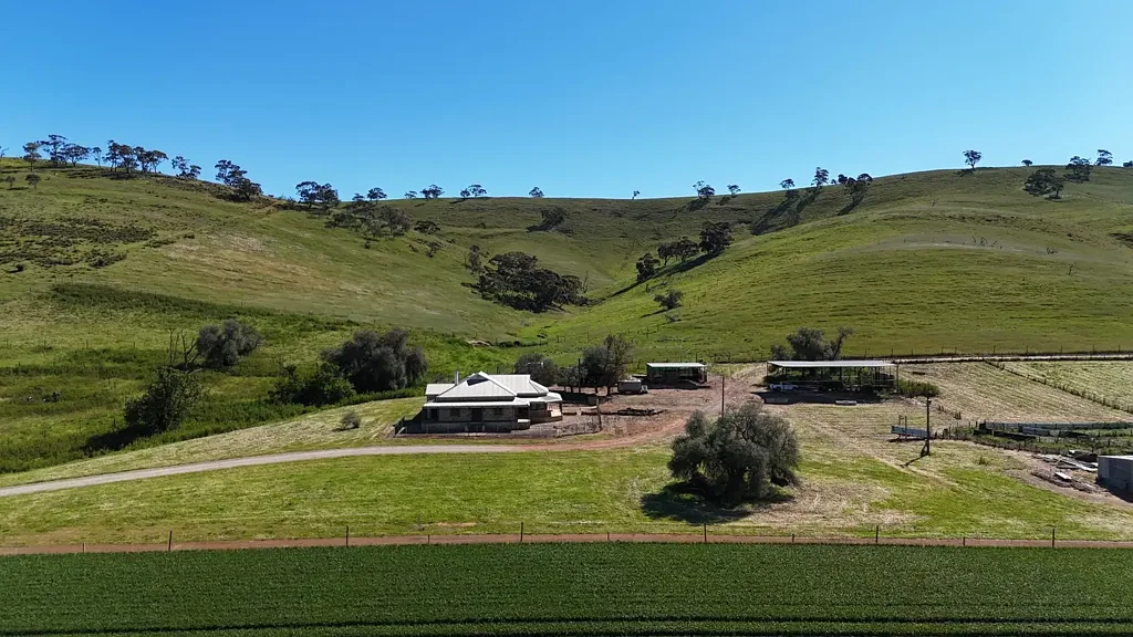 Washpool Productive & Scenic Mid North Grazing Opportunity