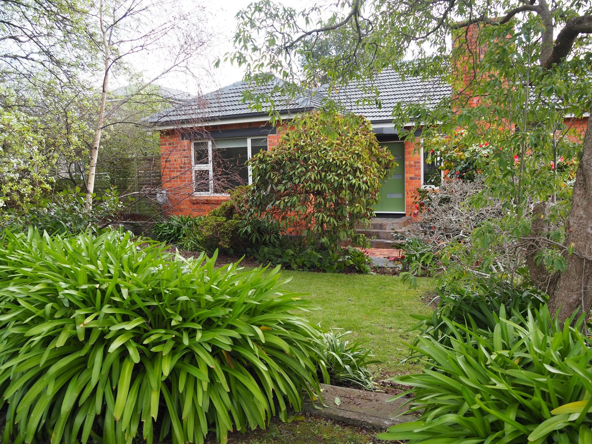 66 BROUGHAM ST, WEST LAUNCESTON TAS 7250, 0 غرف, 0 حمامات, House