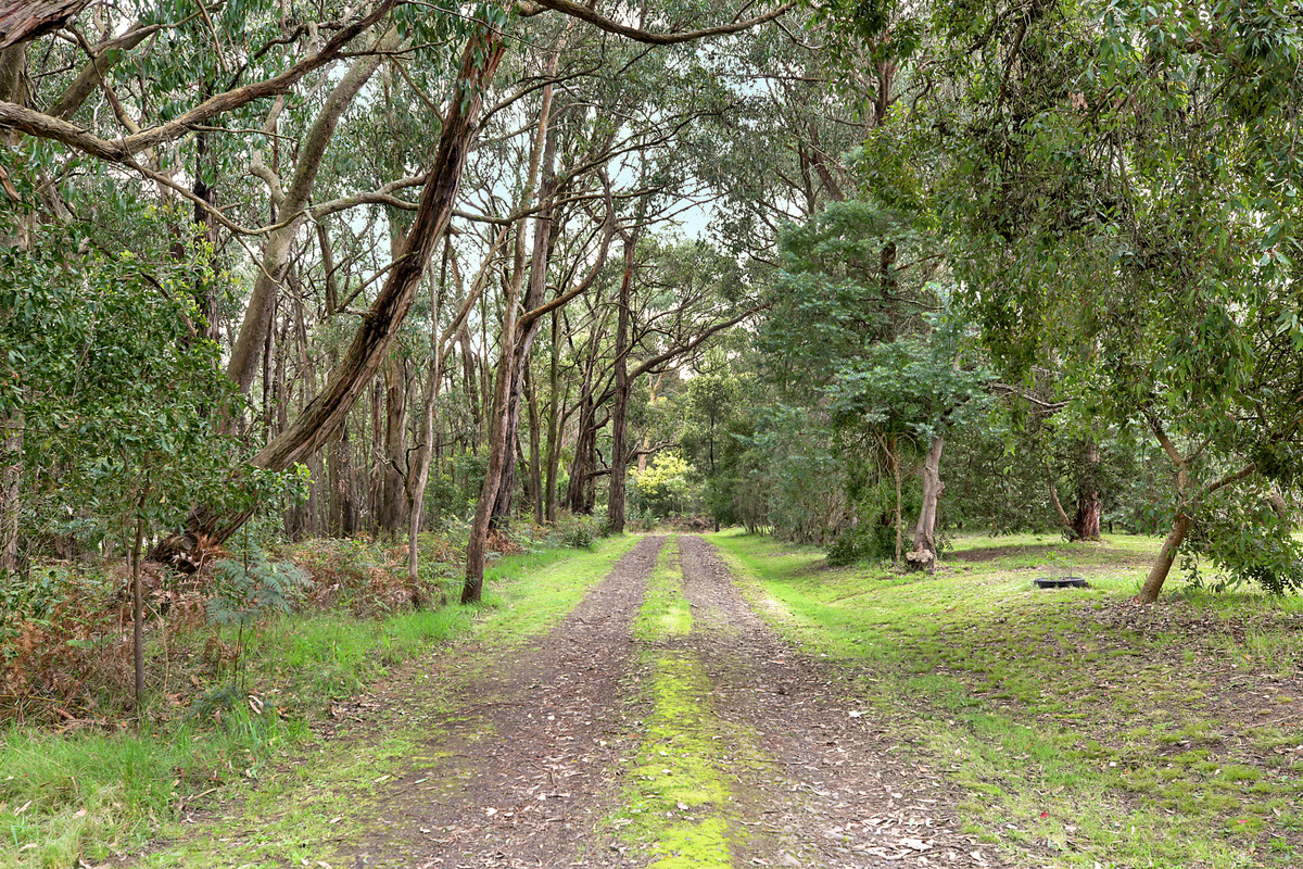 135 BUSHBYS RD, BARONGAROOK VIC 3249, 0 Bedrooms, 0 Bathrooms, Lifestyle Property