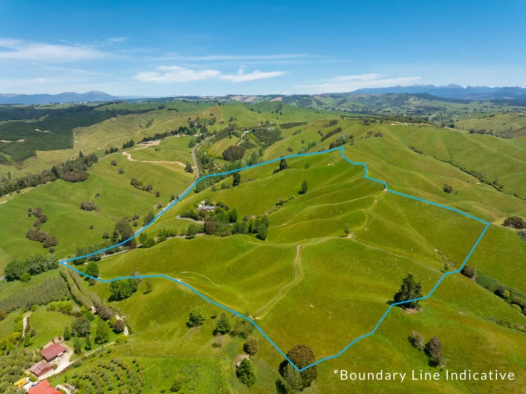 Upper Moutere  Upper Moutere Lifestyle Property for Sale
