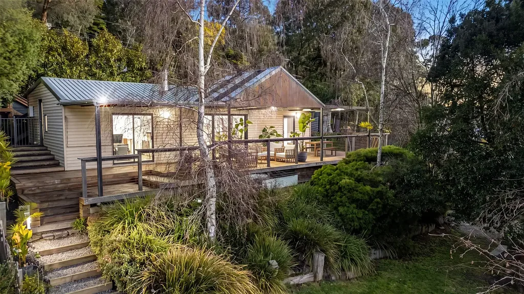 The Basin 2Kwarto The Brief: Peaceful Living Amongst the Treetops