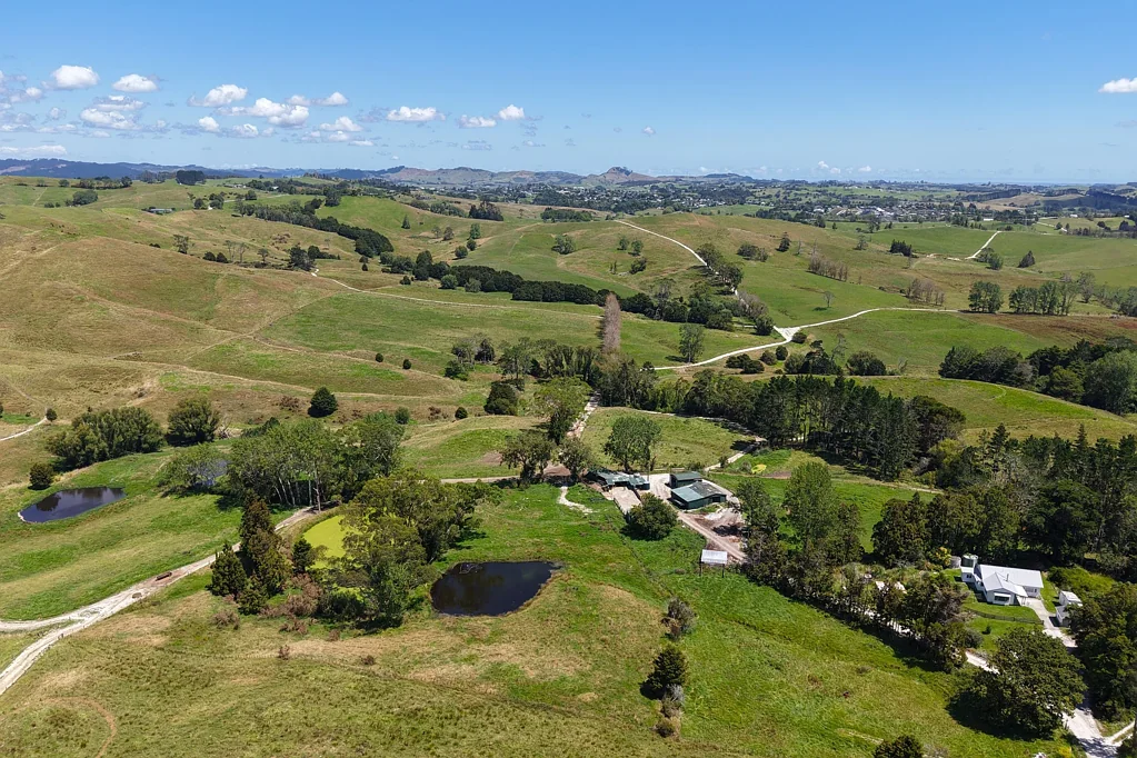 Wellsford Dairy, Farm, Lifestyle!