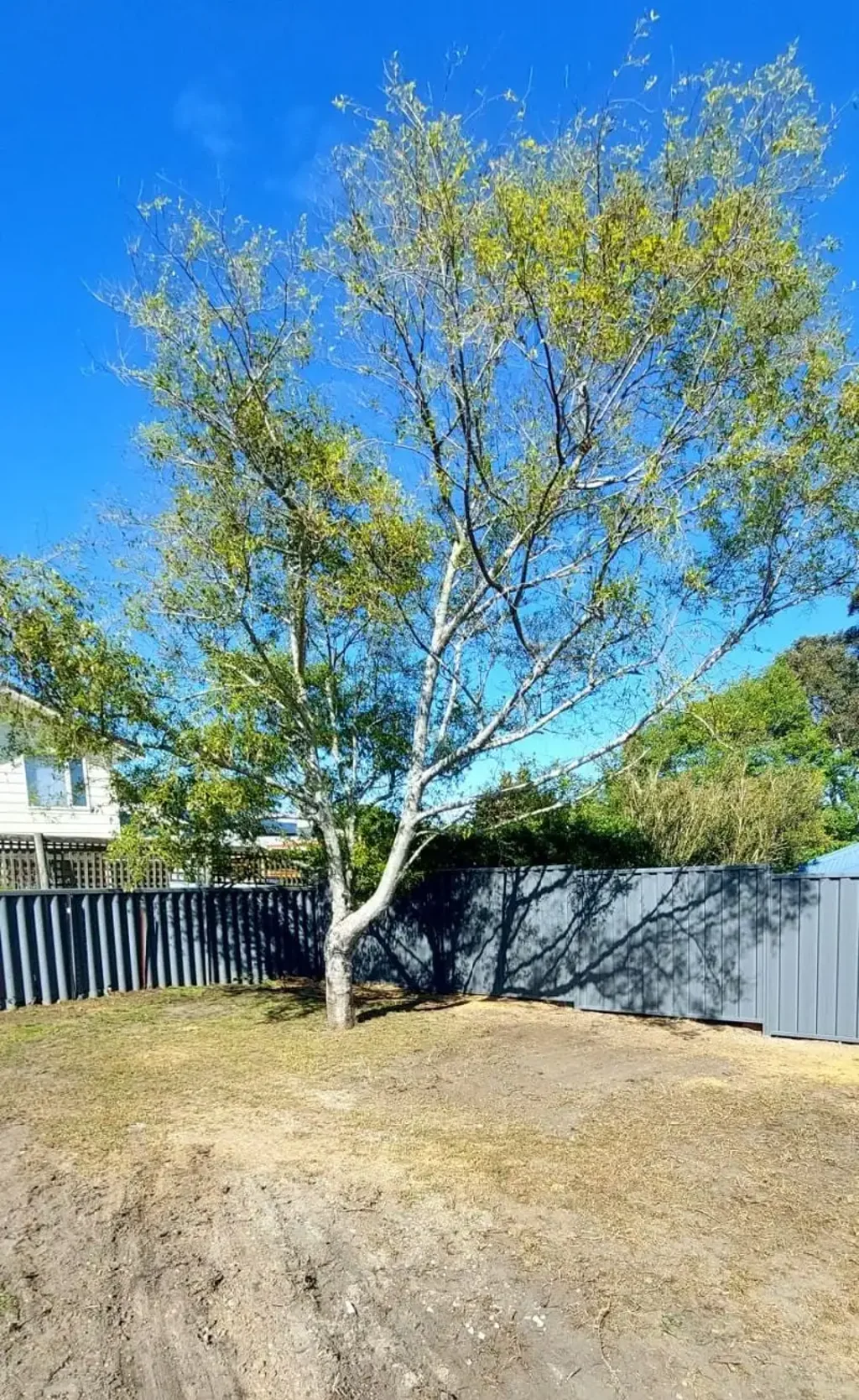 Mount Melville Central, north facing - elevated block