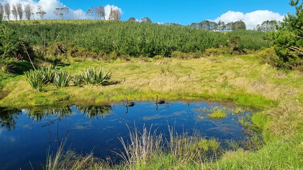 Kerikeri Kerikeri Land Bank/Development Opportunity