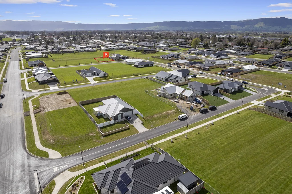 Matamata  Reserve background.