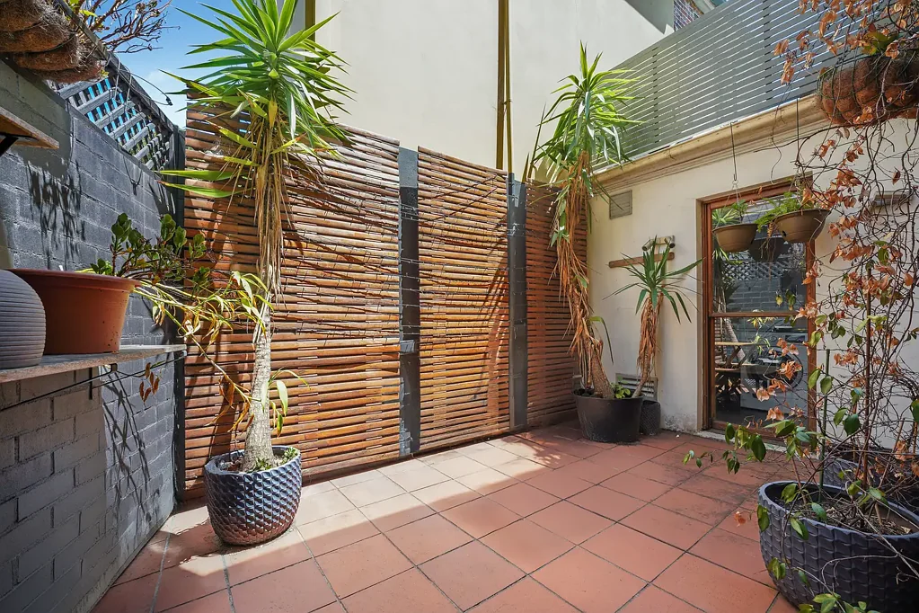3/232 Moore Park Road, Paddington, NSW 2021